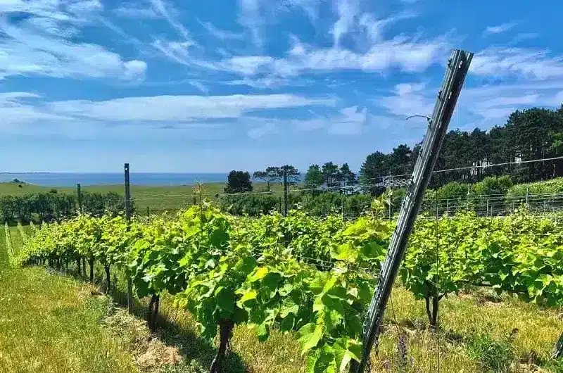 hidden-04.png hidden-04.png